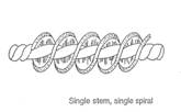 Single Stem Single Spiral image